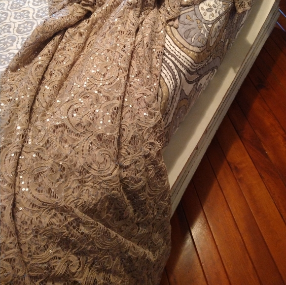 Alex Evenings Maxi Formal Lace with Sequins. Champagne Color - Picture 3 of 4